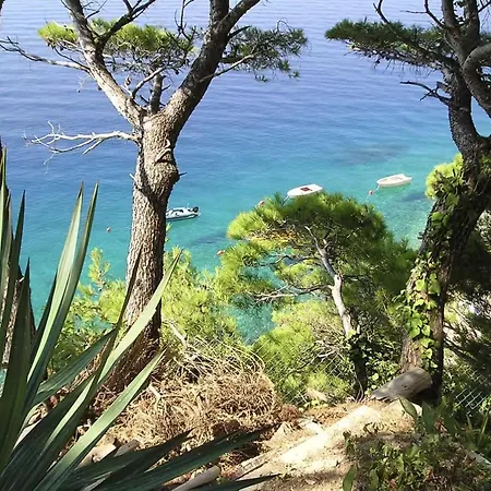 شقة Danica Marusici (Split-Dalmatia)