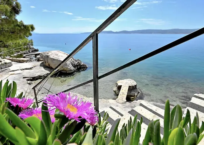 Appartamento Villa Danica Marušići *